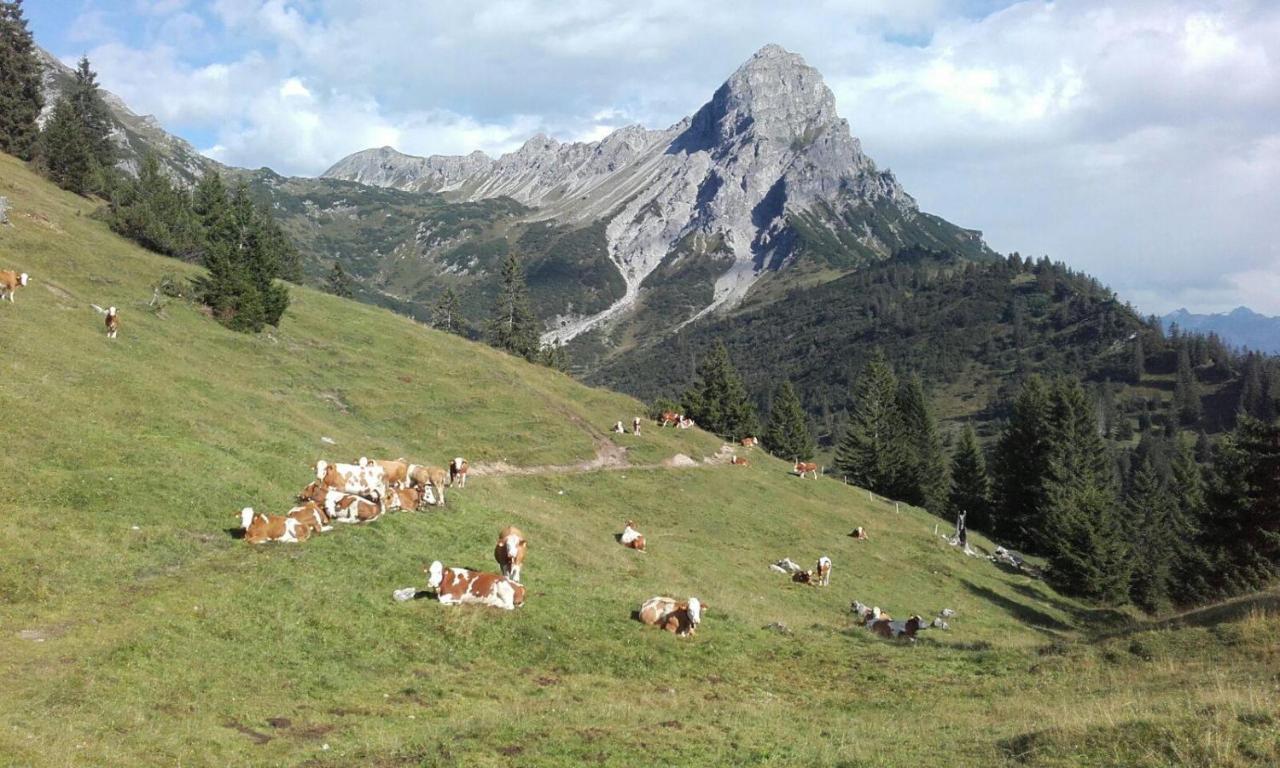 Burtscherhof In Braz Ausserbraz Eksteriør bilde
